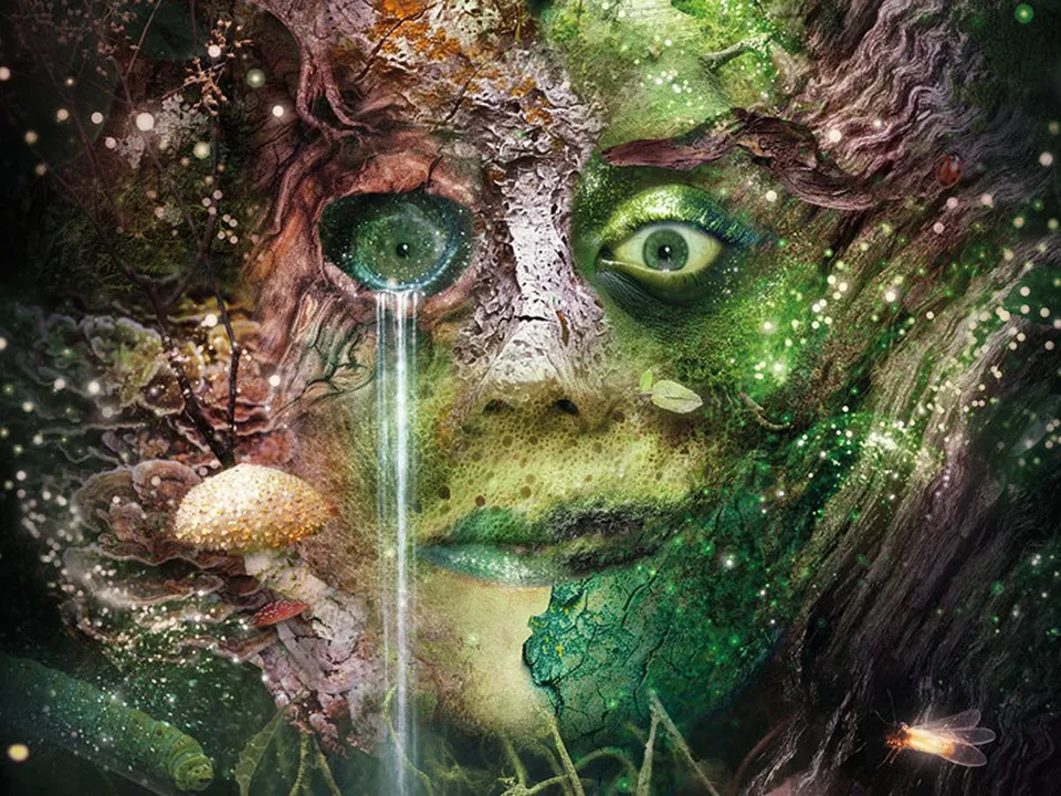 Bog Witch